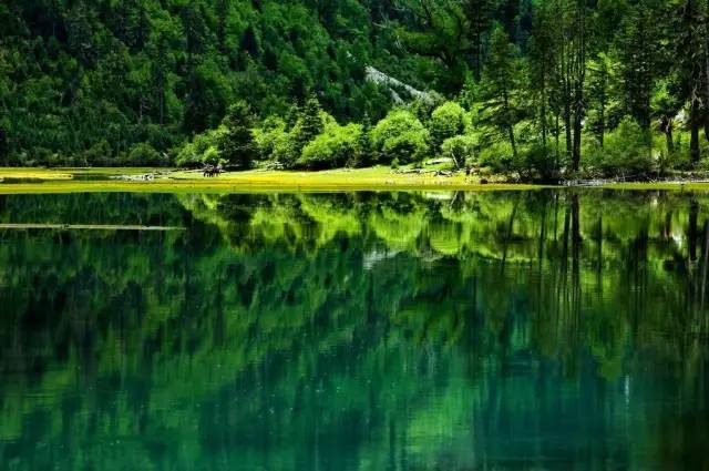 从康定开始一路都是绝美风景,从康定到新都桥景色视频