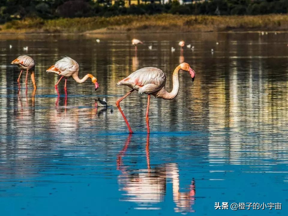 日不落帝国的遗产，塞浦路斯（Cyprus）