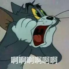 去澳门记得带什么东西,去澳门都需要注意什么