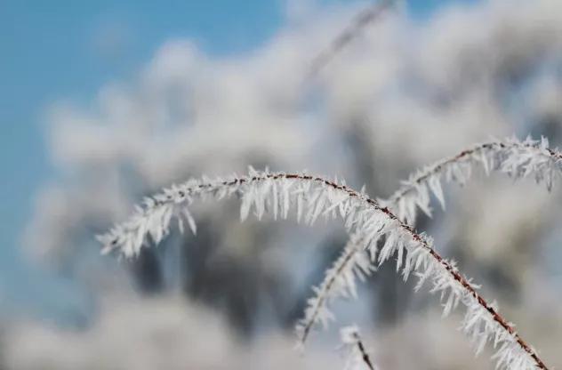 此生必去看一次雾凇太美了,此生必去看一次雾凇简直要美哭了
