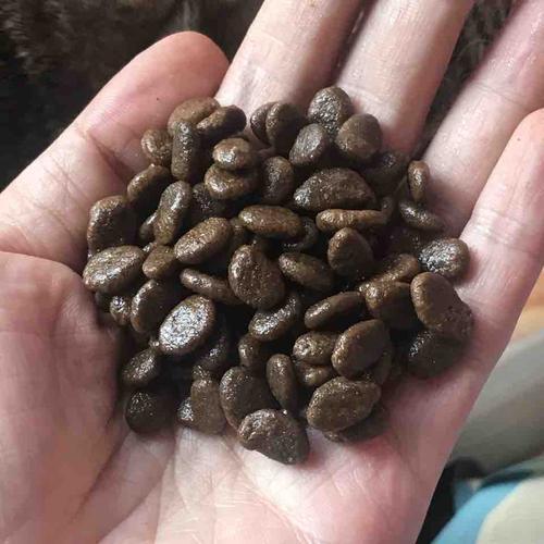 渴望六种鱼猫粮测评,orijen渴望猫粮测评