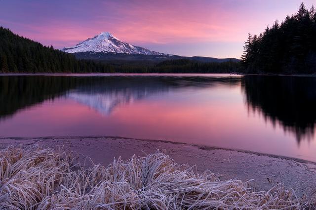 为什么生病要吃药才能治好,有些病不能完全治愈吃药总能缓解