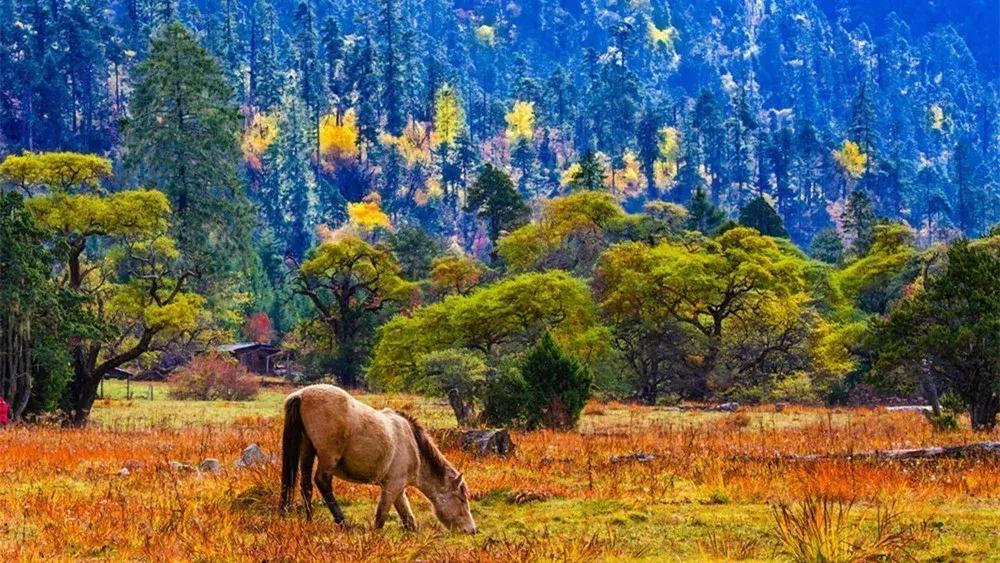 10月旅行地推荐最适合初秋出游,10月最适合慢慢旅游的地方