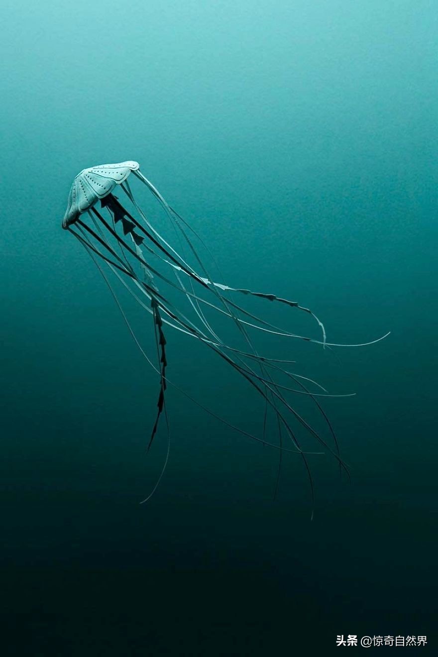 用超长的纸做艺术品超简单,纸制彩色艺术品