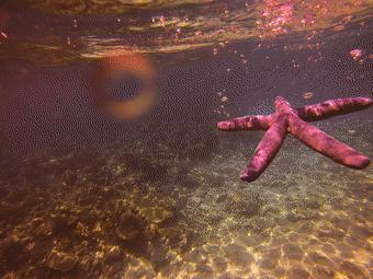 马来西亚适合游玩的岛,马来西亚阳光大海