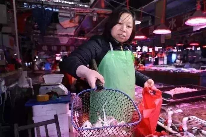 秦皇岛休渔期的海鲜哪里来,秦皇岛休渔期还可以出海吗