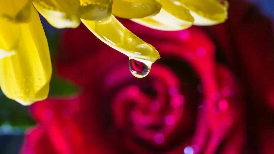 长焦镜头拍摄升起效果,怎么把镜头突然反过来拍自己