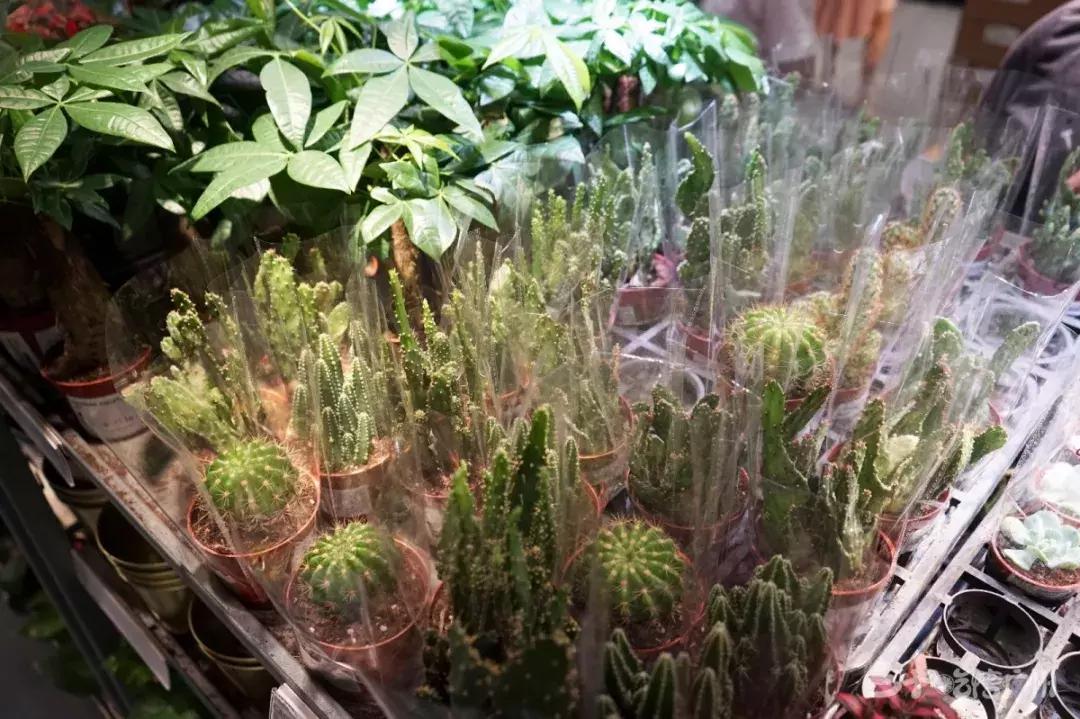 宜家家具搬家拆装多少钱,广州宜家家居清仓特价