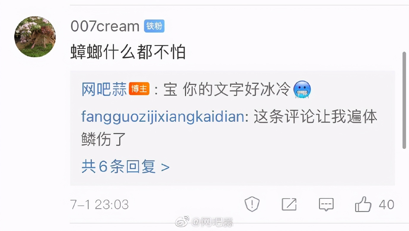 被意大利人骂了这么多年，原来是冤枉的丨互联网冲浪手册