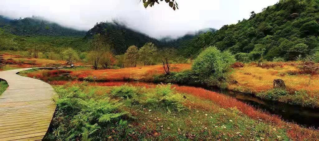 红了！黑竹沟迎来颜值巅峰，分分钟带你穿越五彩童话世界