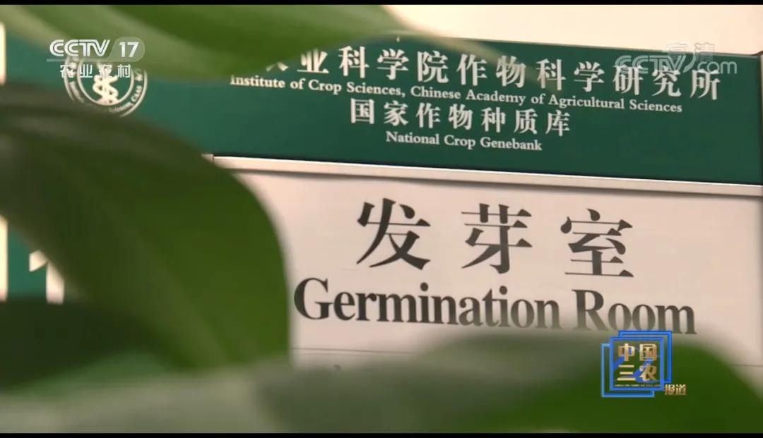 种子如何进入种质库,什么样的种子才可以选入种质库