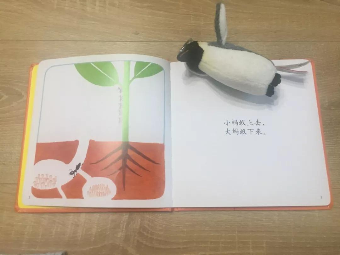 著名童书作家有哪些,国内优秀的童书作家