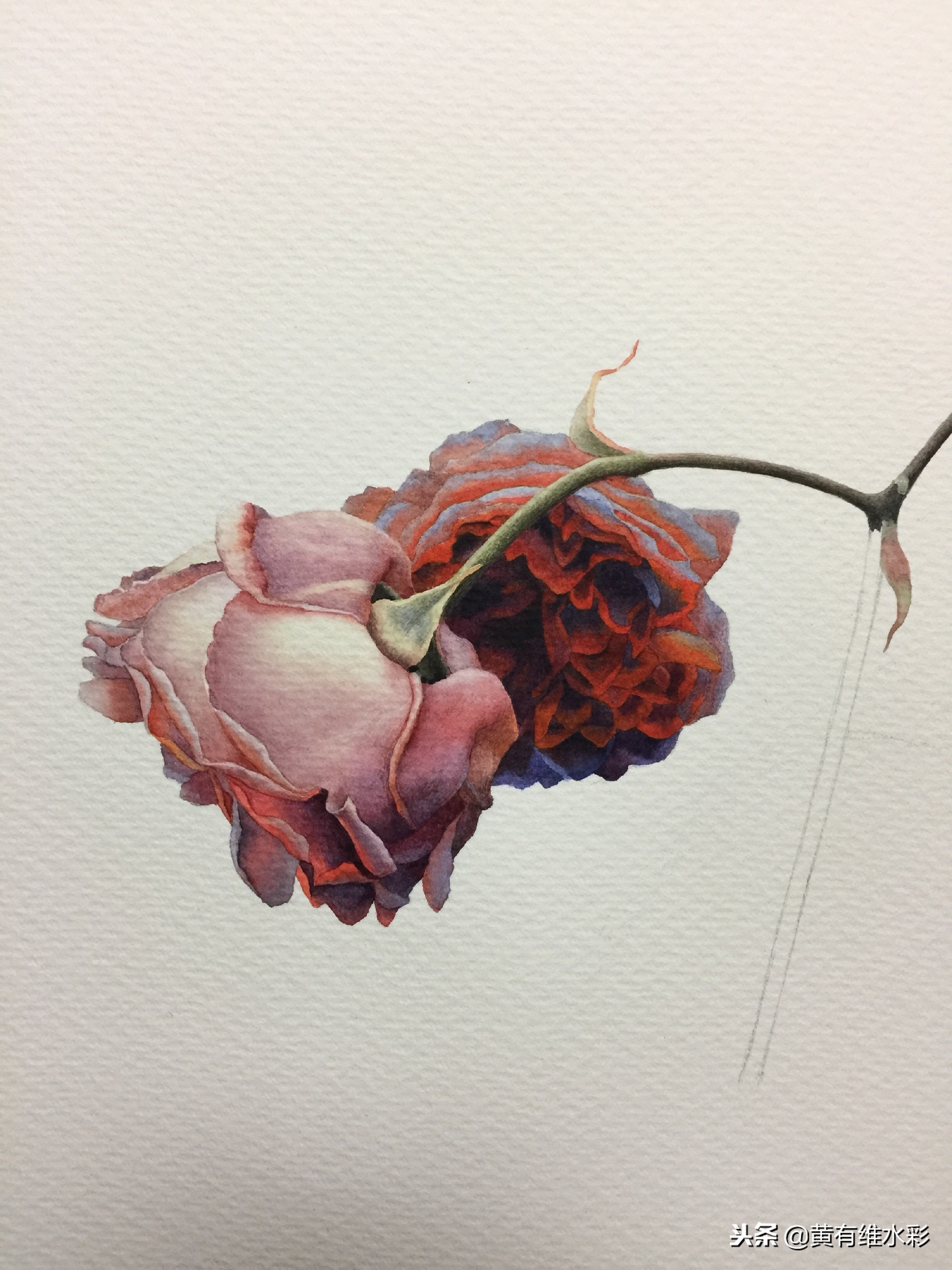 水彩教程简单好看手绘图片,水彩教程画花