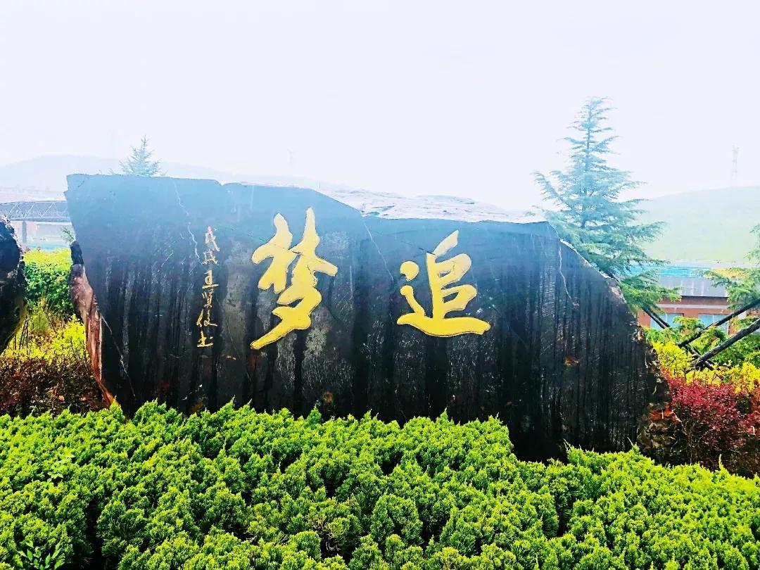 民办学校大连艺术学院全国排名,大连艺术学院辽宁排名