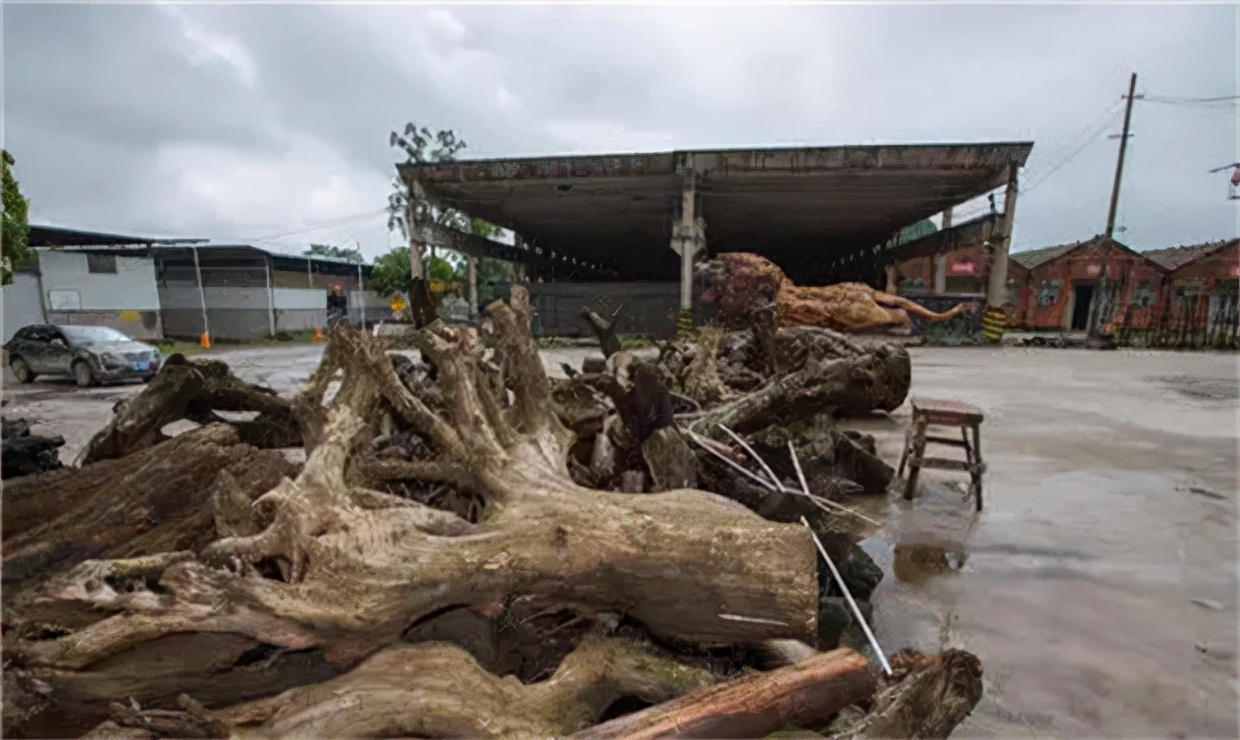 广西300万木雕雄狮,200万左右的雄狮木雕
