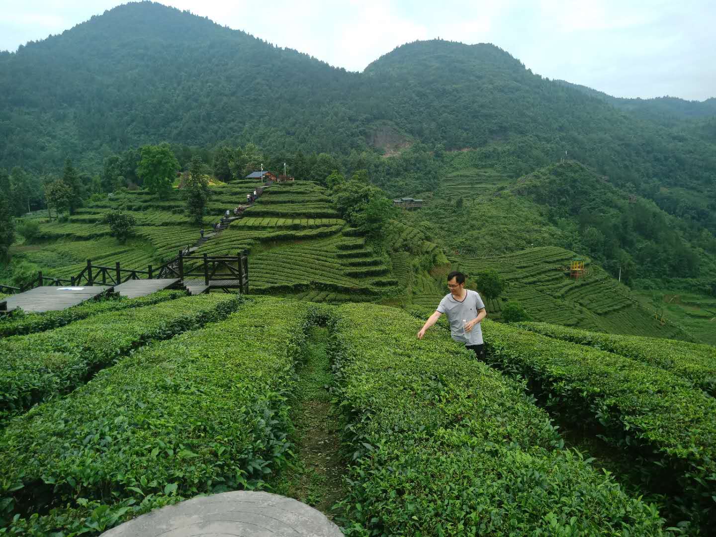 中国少数民族特色村寨广西,湖北少数民族特色村寨建设情况