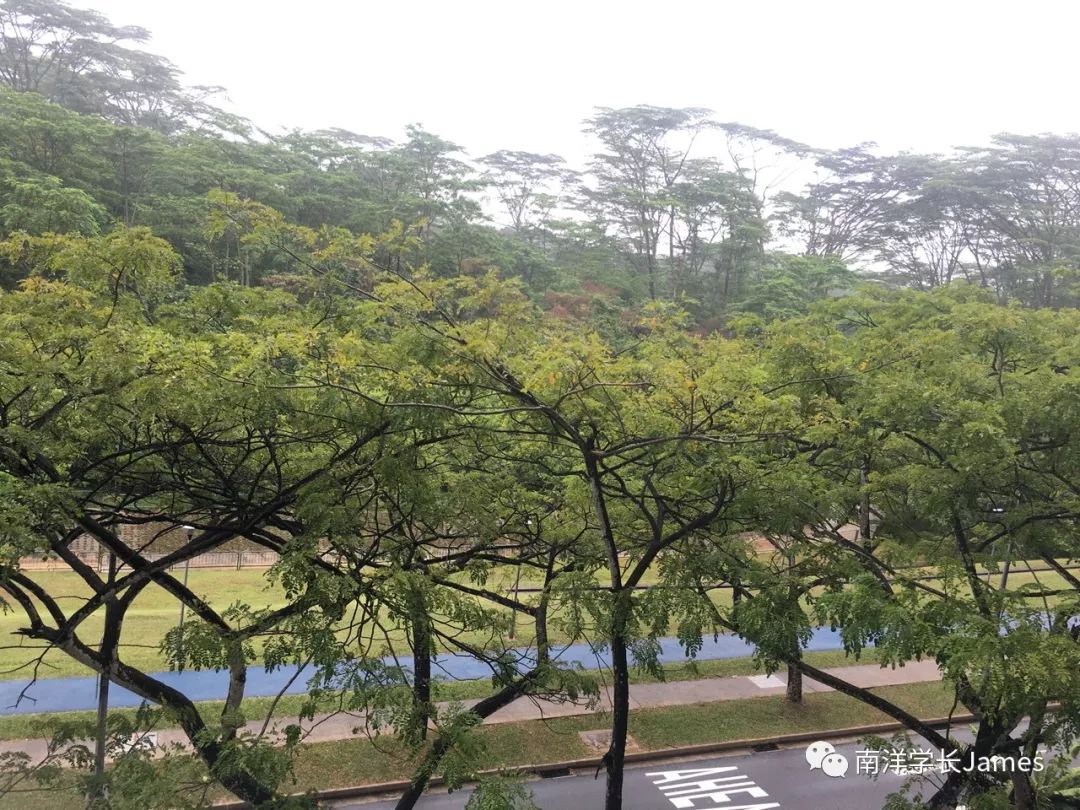 我南洋理工大学的五个室友