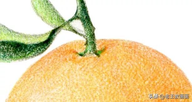 橘子彩铅手绘过程详解,超详细的彩铅橘子教程