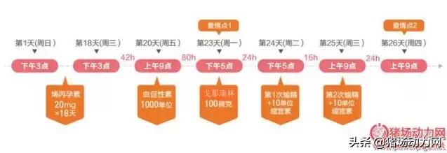 仔猪腹泻母猪如何用药,母猪流行性腹泻生的小猪怎么办