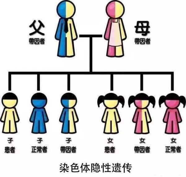 为什么会有兔唇的宝宝,宝宝为什么会长兔唇