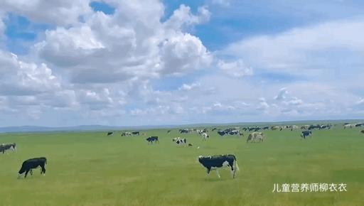 暑假带孩子内蒙古旅游攻略,暑期内蒙古亲子游鄂尔多斯