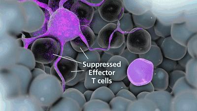 offrelax洗发水李佳琦双十一,洗发水推荐防止掉发李佳琦清爽款
