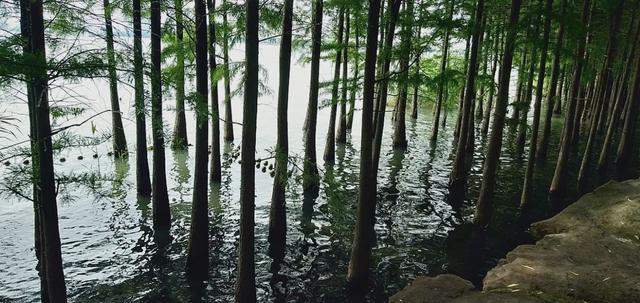 苏州婚纱城和婚纱一条街地址,苏州婚纱摄影取景圣地