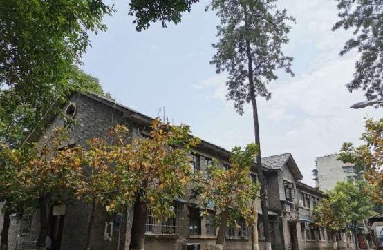 扫街日记100篇,扫街日记视频