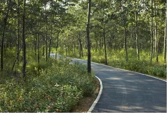 秦皇岛候鸟观赏地,秦皇岛初冬鸟类