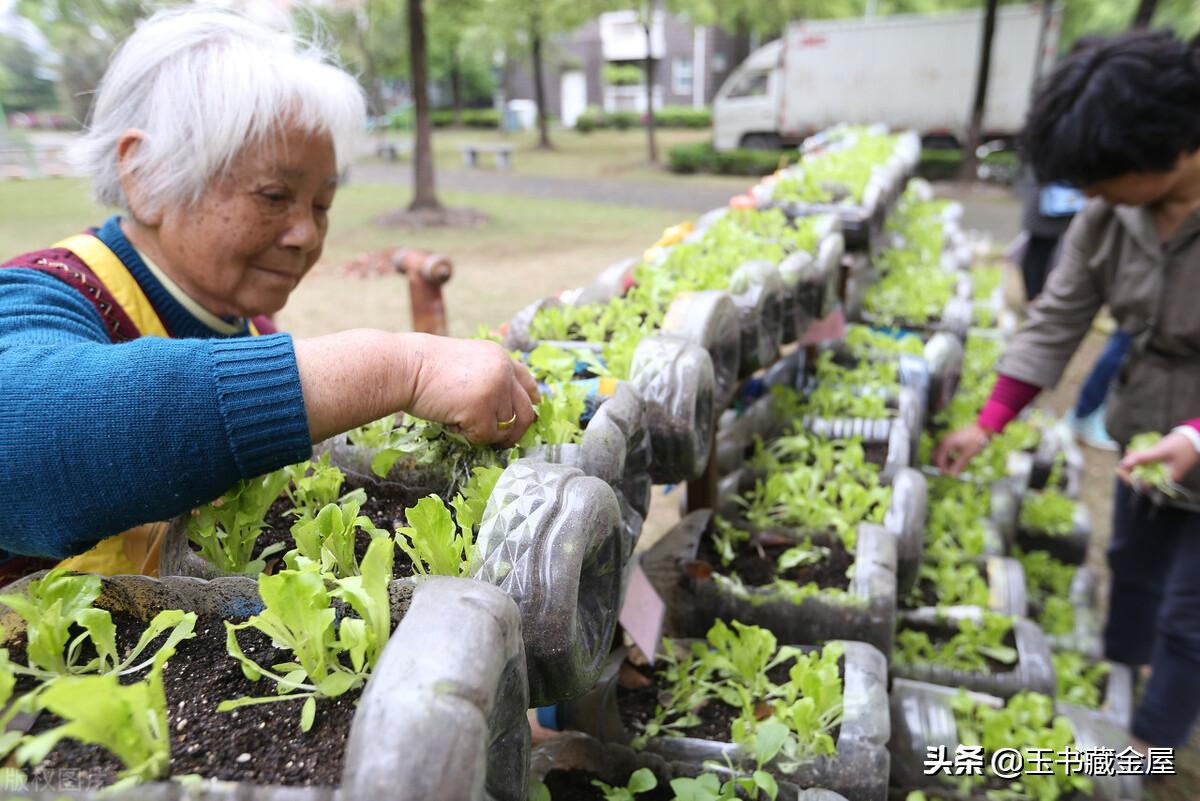 “工作日下午两点到四点的KFC”：反脆弱是职场人必须具备的能力