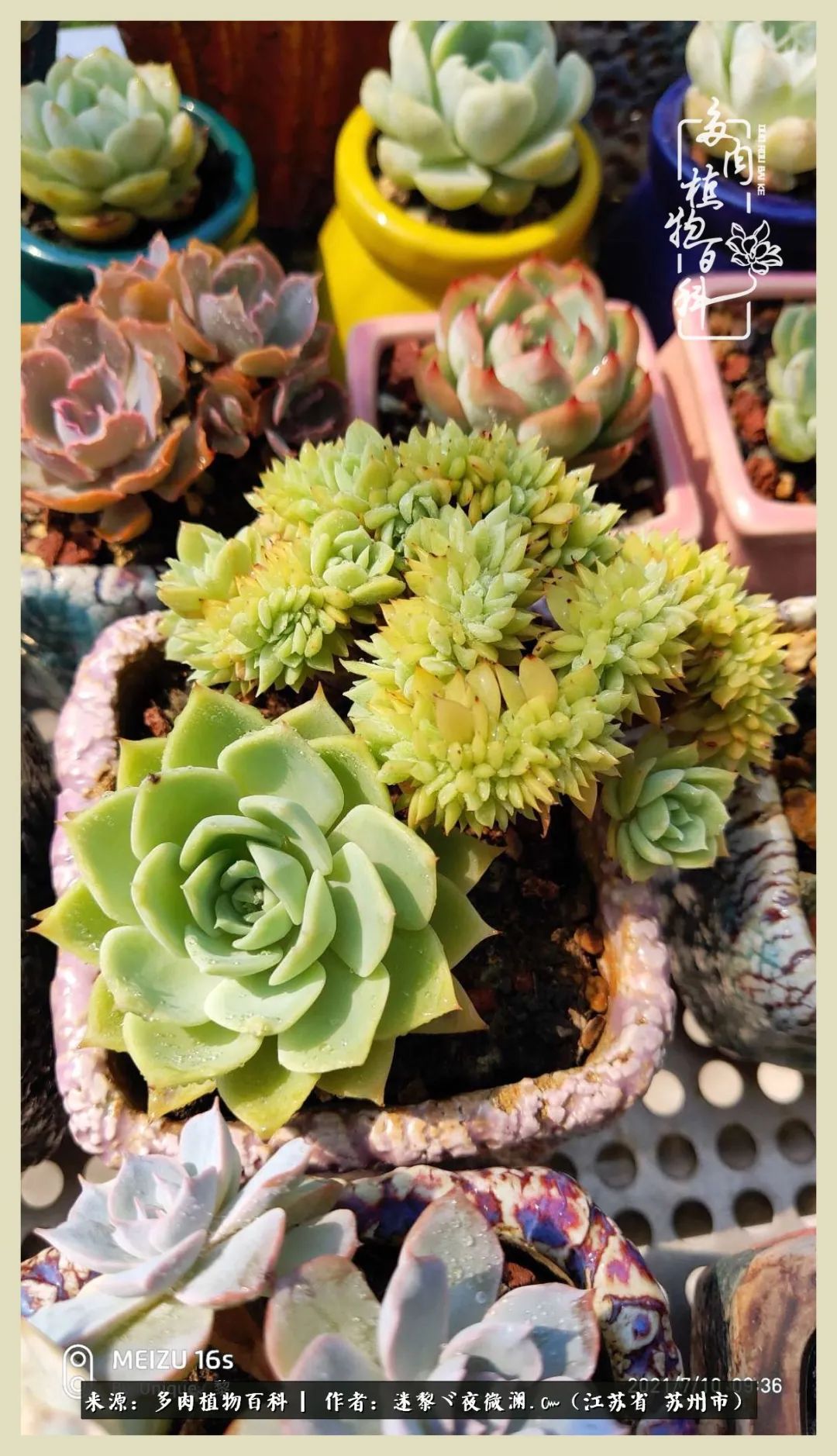 秋尽冬来岁月不居时节如流,岁月不居时节如流水