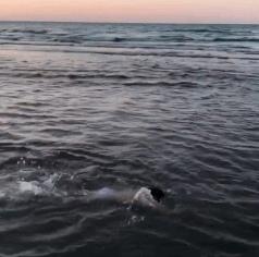 伊朗足球神童腹肌,6岁伊朗腹肌小男孩