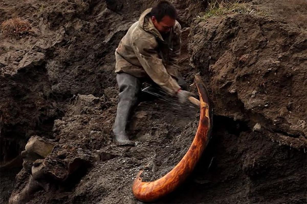 潘多拉动物盒子,潘多拉盒里面的黑色怪物