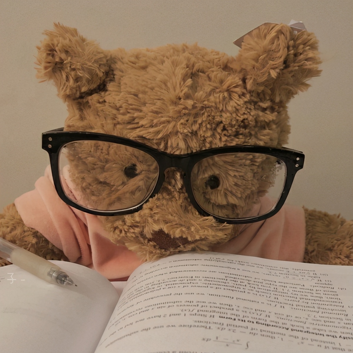 期末周｜学习*党**-换上最符合读书人心态的头像，萌宠辣妹表情包