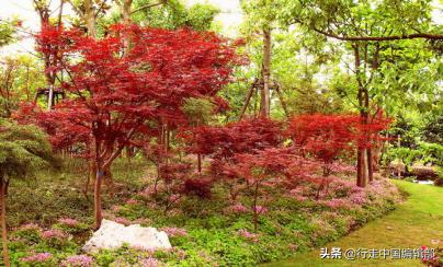 南京研学夏令营多少钱,上海南京夏令营