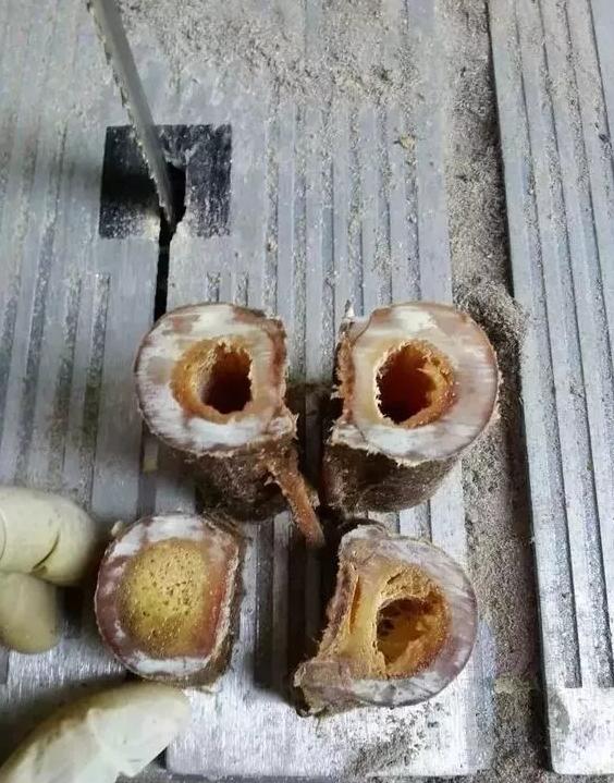 马骨手串圆珠,马骨手串价格及图片