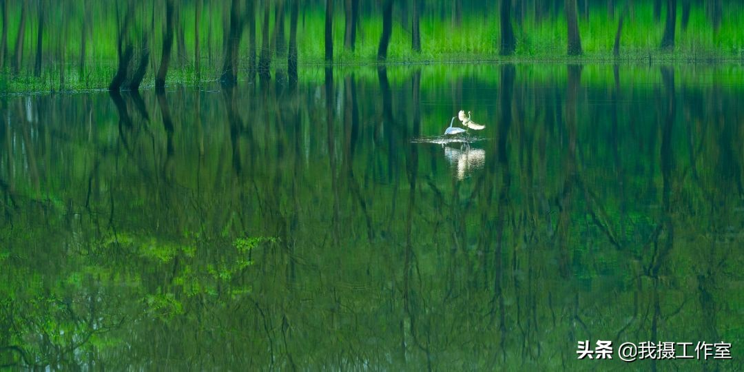 第16届国际摄影艺术展获奖作品,第29届全国摄影艺术展览作品集