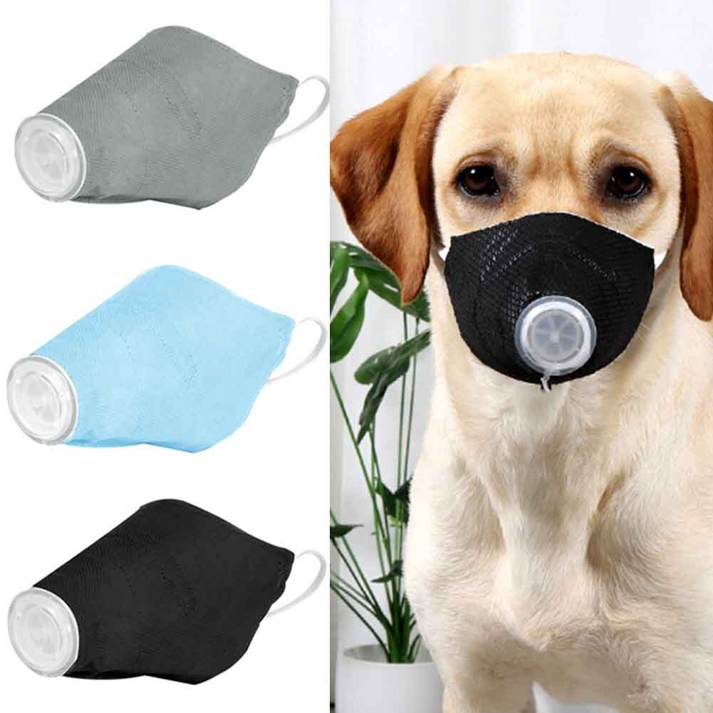 海外宠物用品爆款清单,目前国外宠物用品哪些最火