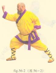 少林心意门拳视频教程,少林长护心意拳图解