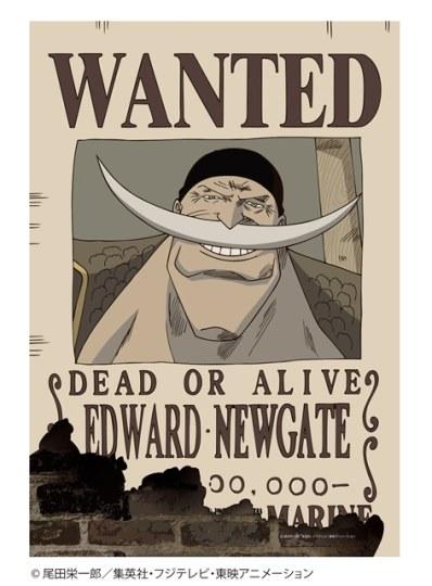 尾田评价赤犬的实力,尾田对赤犬的战力评价