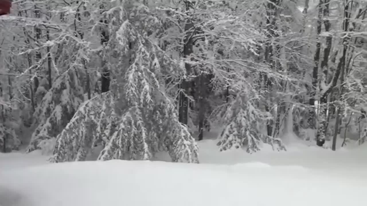 民国连环杀人案农村,山村血案真相纪实完整版