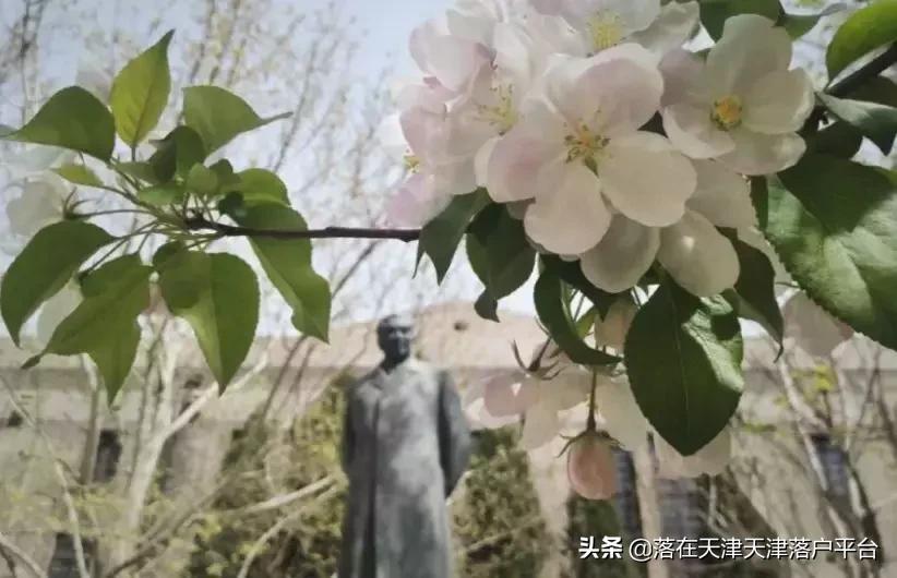 南开中学天津介绍,南开中学一览