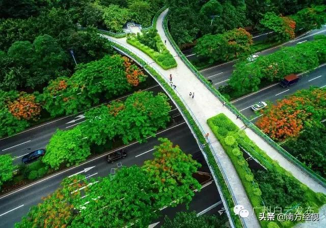 广州番禺丽江花园整体规划图,广州美林湖畔花园规划图