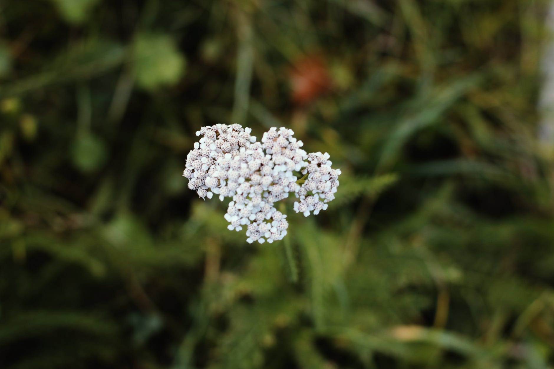 想让一个男人快速爱上你该怎么办,如何让一个男人深深记住你