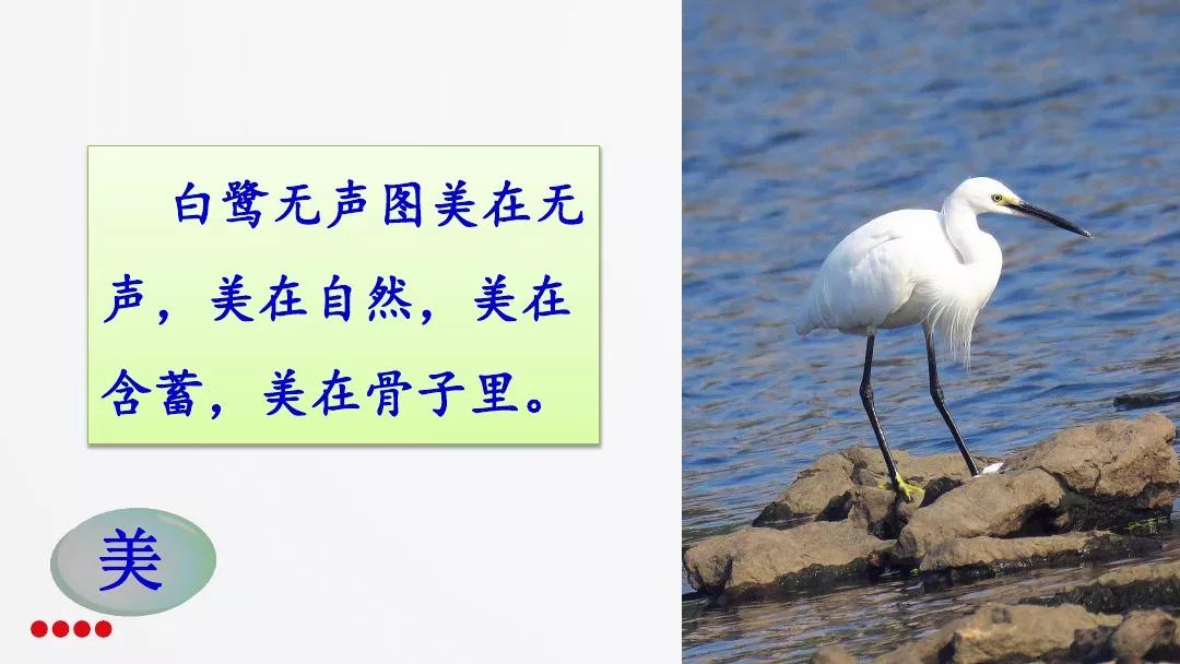 五年级部编版语文白鹭讲课视频,部编小学语文五年级上册白鹭课件