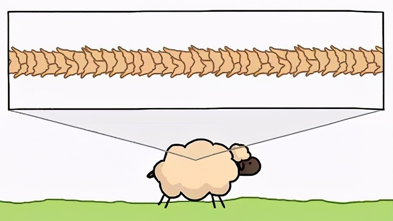 毛衫洗了缩水怎么恢复,缩水的毛衫怎么恢复正常