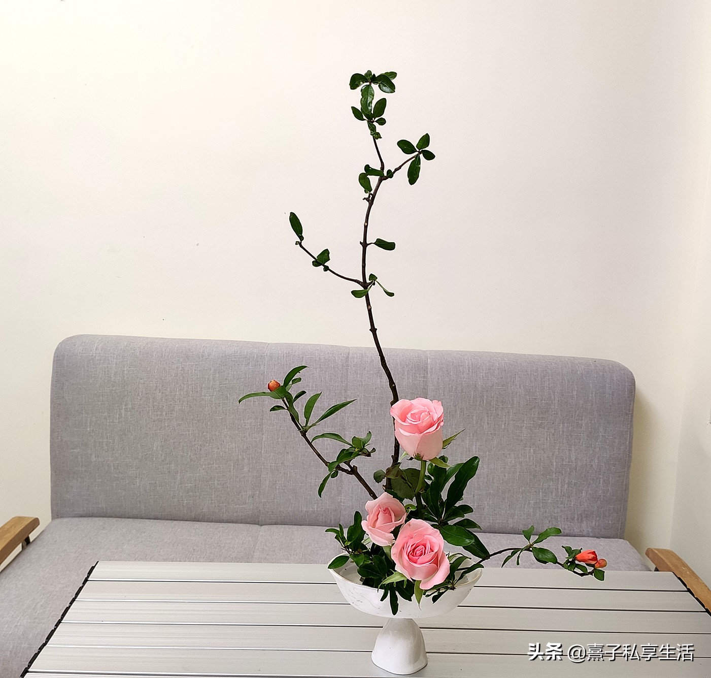 石榴有没有什么寓意,石榴的寓意和吉祥话