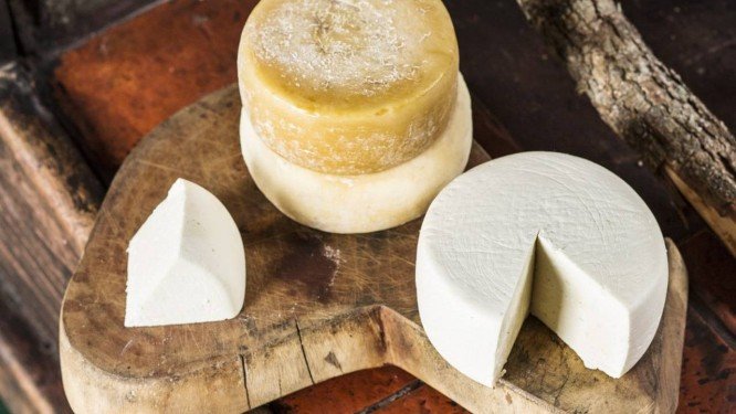 喜欢吃奶酪？那么今天这篇文章肯定对你大有收获！奶酪球制作