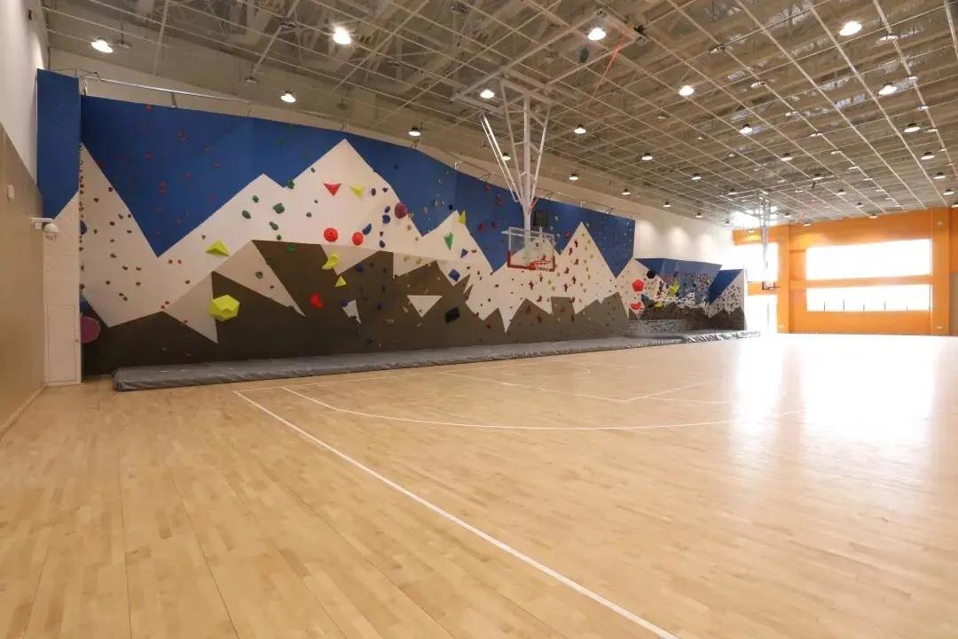 颜值冲锋，实力断后！一大批新学校曝光，太“刷脸”了