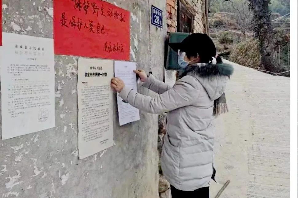 当“防疫”遇上“春耕”，浦城这个村的做法值得参考